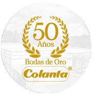 50 Años Icono