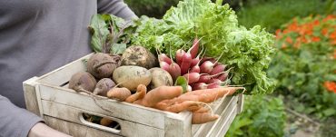 5-alimentos-prevenir-cancer