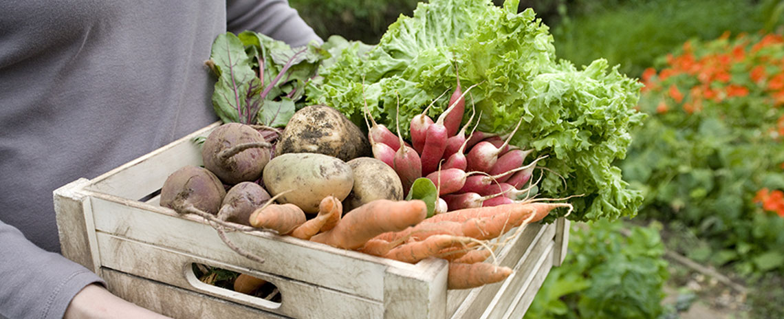 5-alimentos-prevenir-cancer