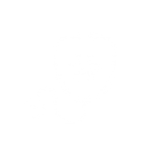 Icono consultas veterinarias