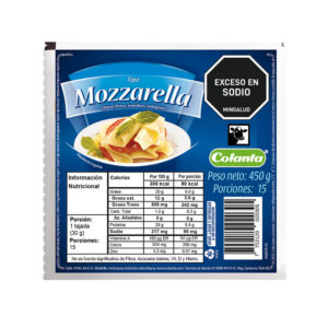 Queso Tipo Mozarella Bloque 450 g