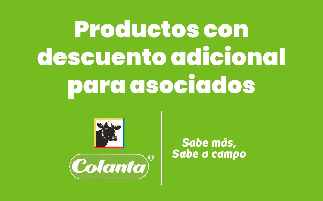 Header Noticia 1