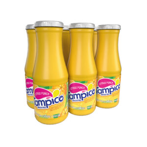 Tampico Botella 240 ml x 6 Unidades